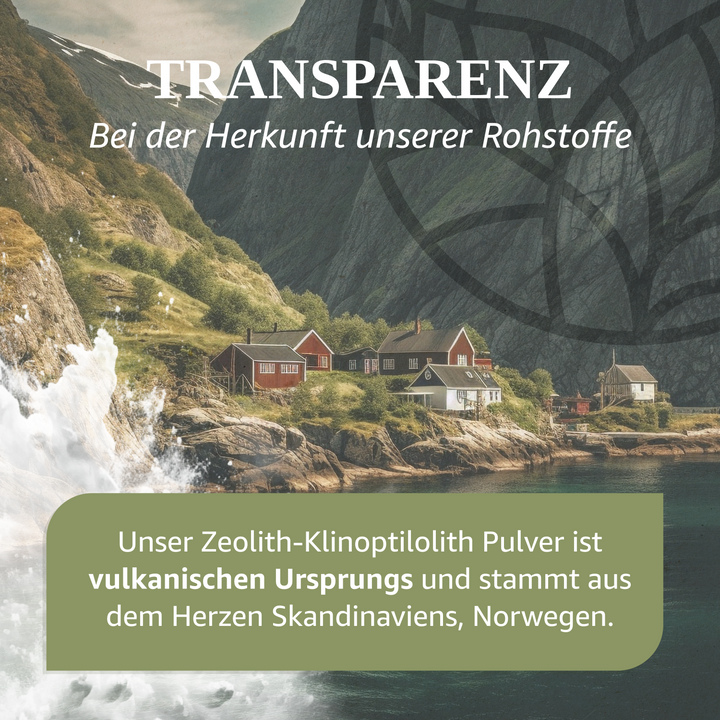 Zeolith-Klinoptilolith Pulver