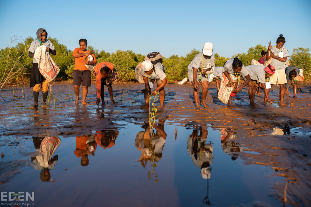 Eden Projects in Kenia