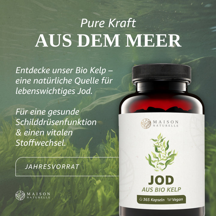 Jod 200 μg aus Bio Kelp