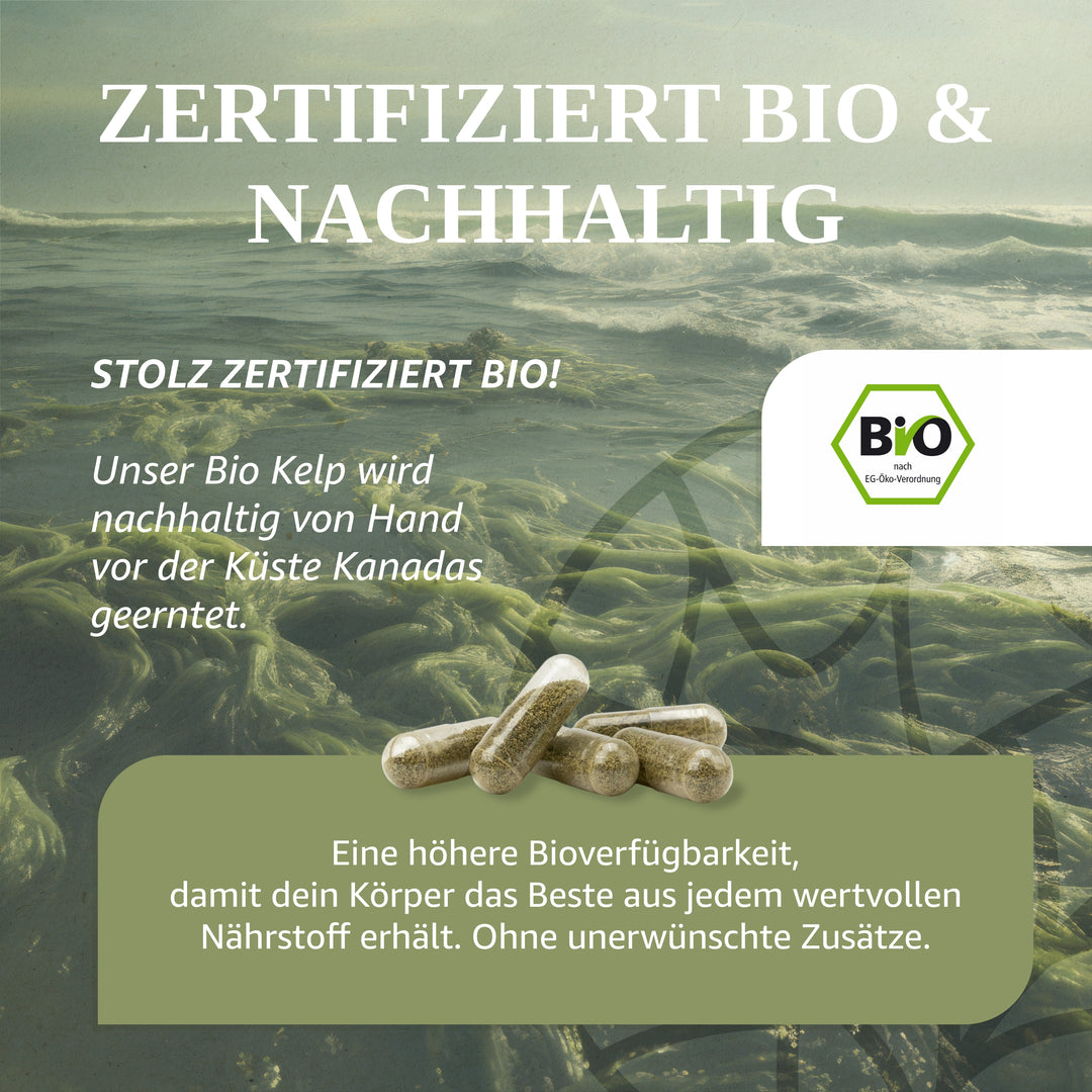 Jod 200 μg aus Bio Kelp