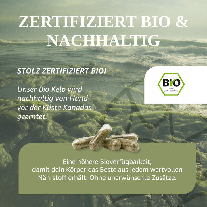 Jod 200 μg aus Bio Kelp