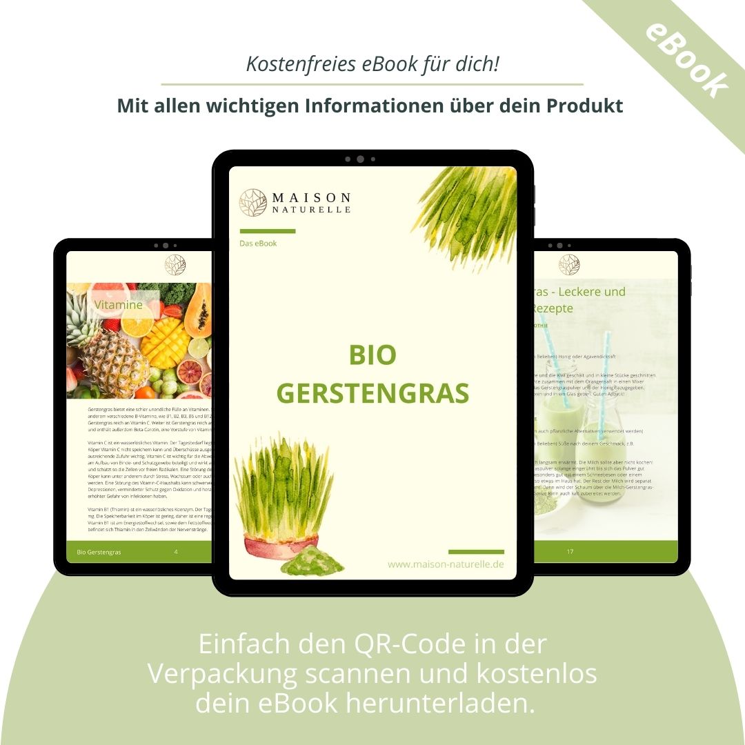 bio-gerstengras-tabletten-ebook-vegan-maison naturelle